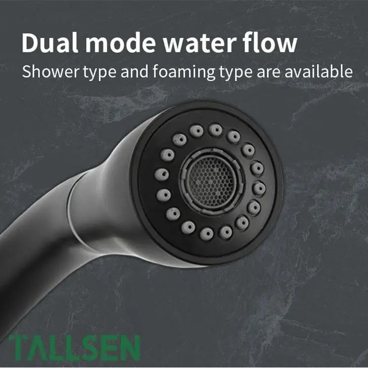 Kitchen Sink Black Tap Ndi Sprayer 1