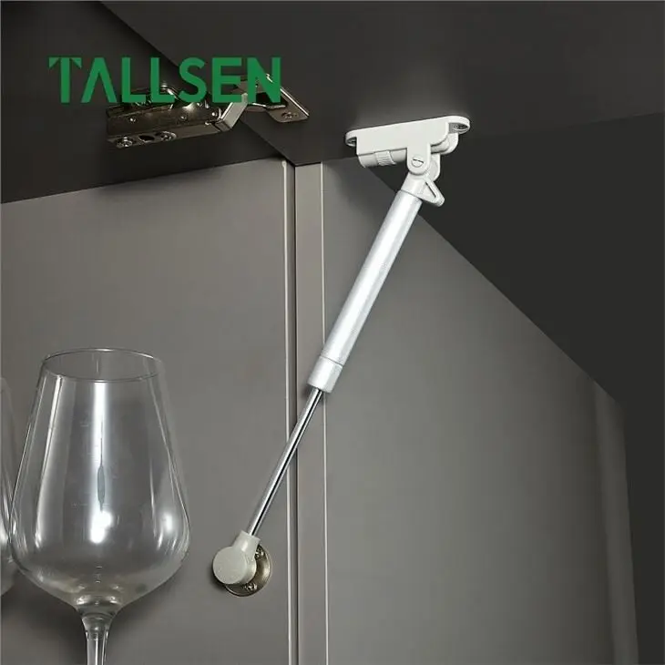 Industrial Heavy Duty Gas Strut Company 6