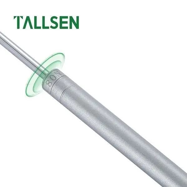 Top Stainless Steel Gas Struts Stainless Steel Gas Struts Company 6