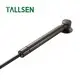 Top Stainless Steel Gas Struts Stainless Steel Gas Struts Company 2