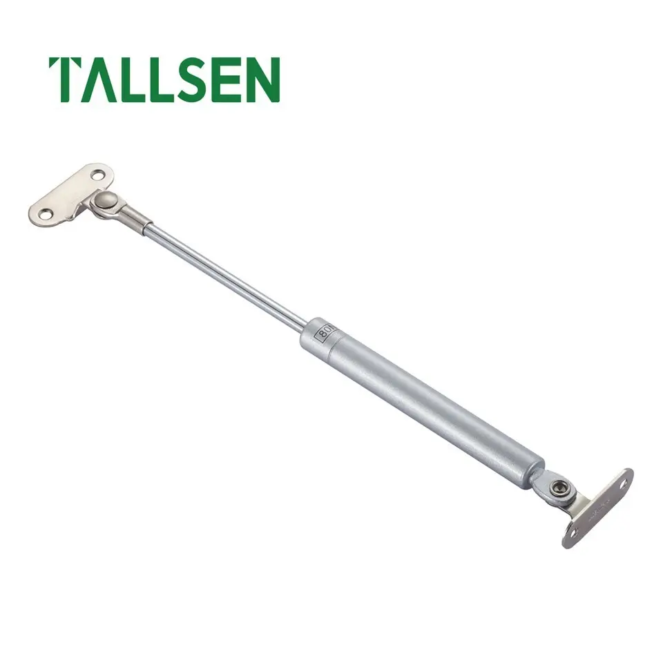 Gas Spring Assist Lift 1