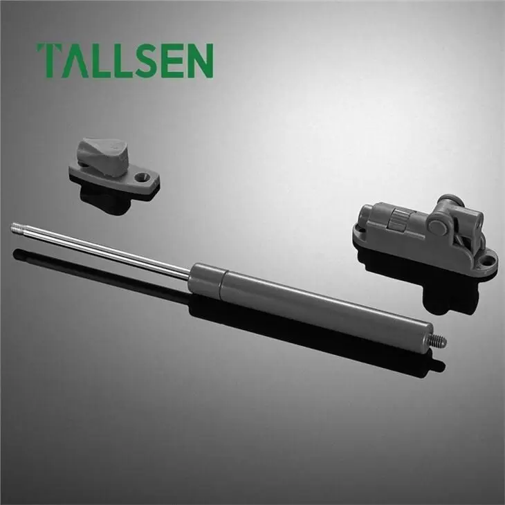 Wholesale Stainless Gas Struts Supply 2