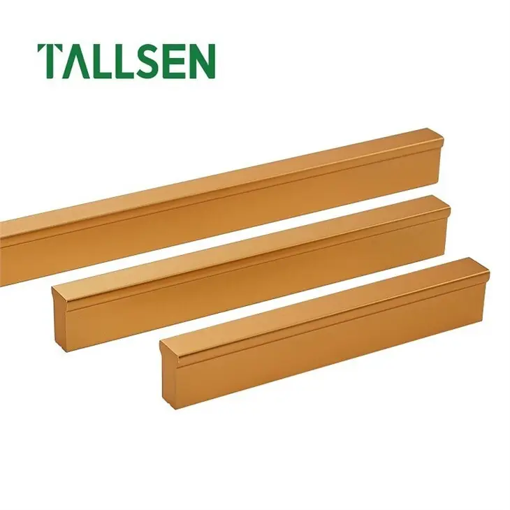 Industrial Door Handles ni Tallsen 2