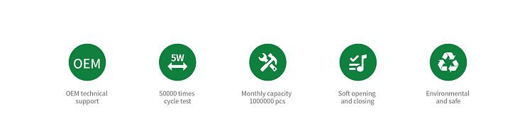 C1 ទន់ឡើងលើ <00000000> ចុះ Getle ផ្ទះផ្ទះបាយ Strut Struts Struts Spruts រដូវផ្ការីក 4