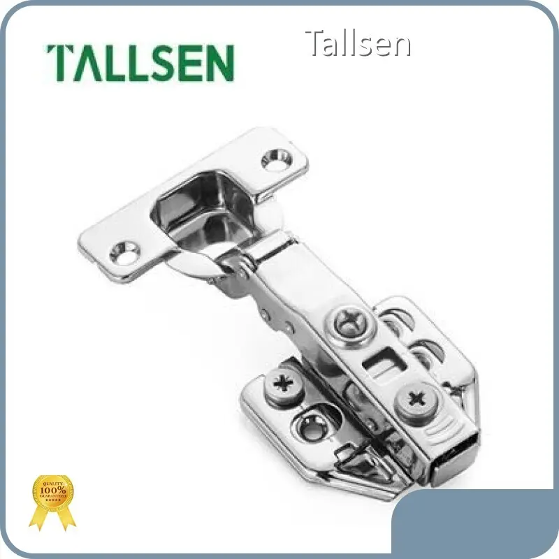 Tallsen Brand Concealed Cabinet Hinges Manufacture 1