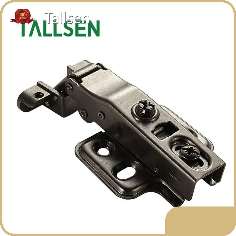 Tallsen Brand European Cabinet Hinges Manufacture 1