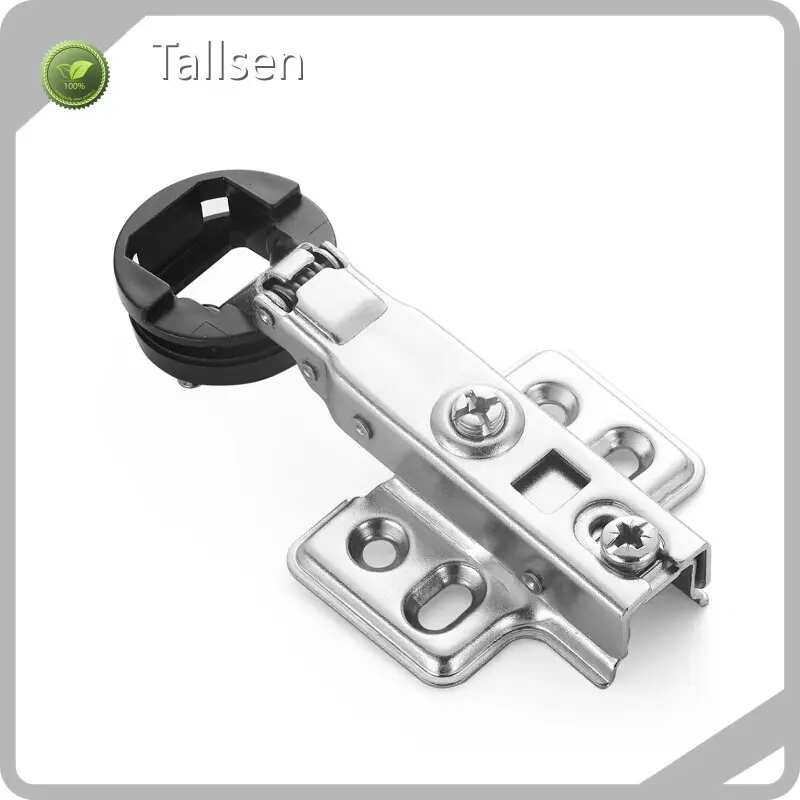 Free Training Service 10000pcs Adjustable Cabinet Hinges Tallsen Brand 1