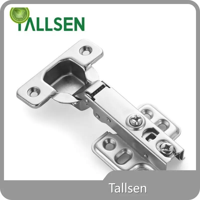Concealed Cabinet Hinges Tallsen-1 1