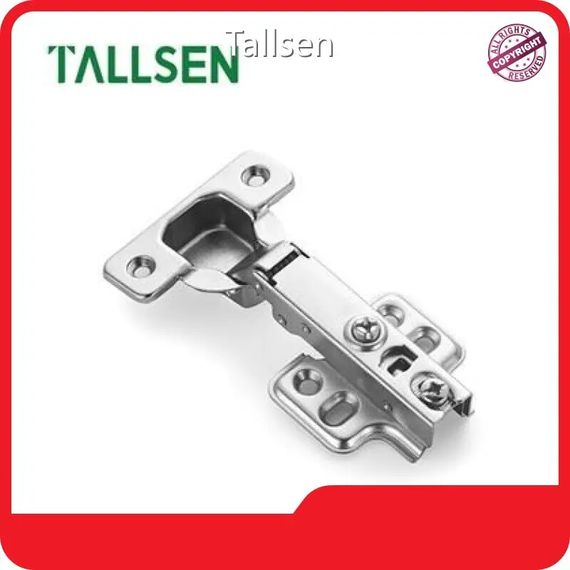 Tallsen Brand Swing Door Hinges Manufacture 1
