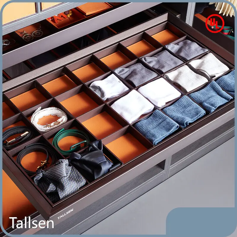 Hot Wardrobe Hinges TT Full Payment Before Shipment (30% in Advance Tallsen Brand 1