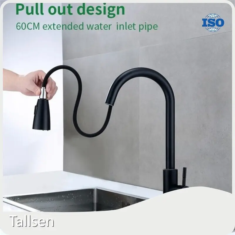 Hotbest Luxury Kitchen Faucets Tallsen Brand 1