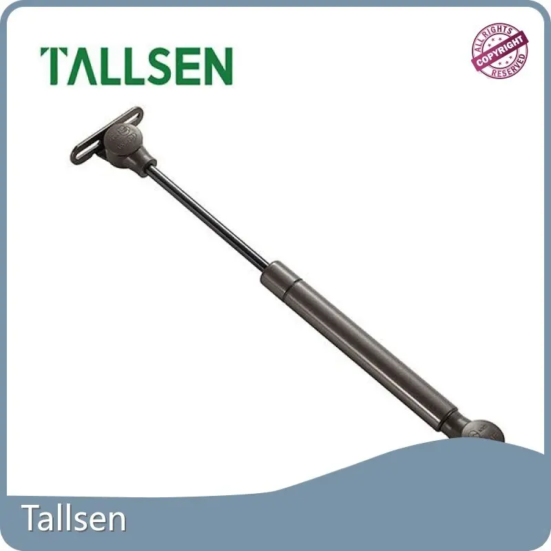 Stainless Steel Gas Struts Tallsen Brand 1