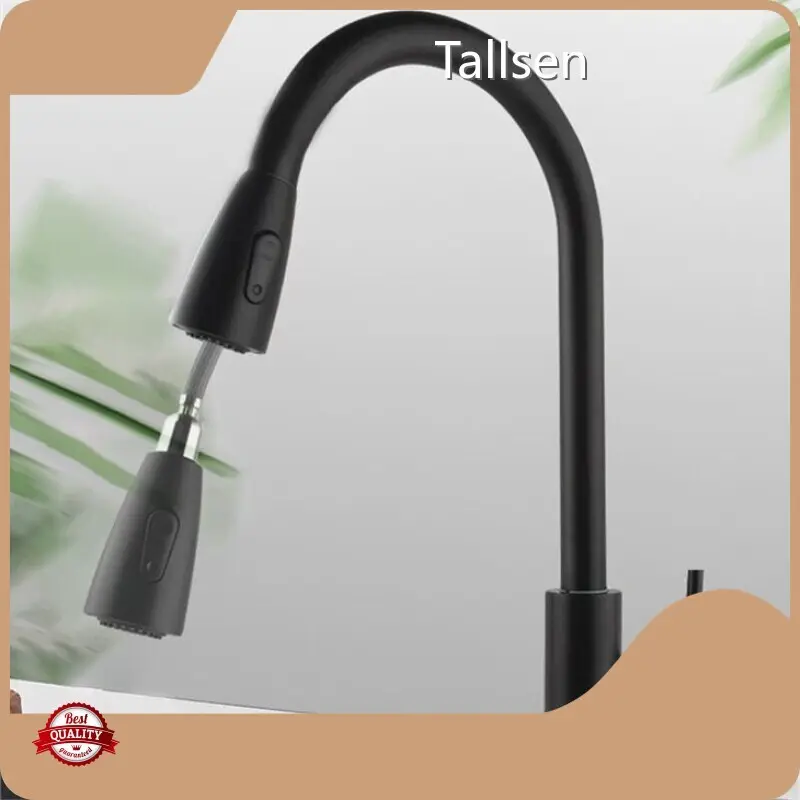 OEM Modern Kitchen Faucets Tallsen 1
