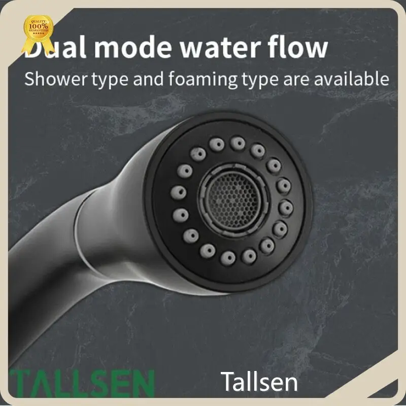 Kitchen Sink Faucets by Tallsen 1