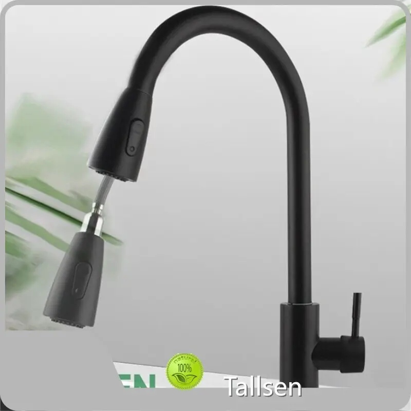 Large Kitchen Sink Tallsen Brand 1