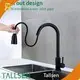 Stainless Kitchen Sink Tallsen Brand 1