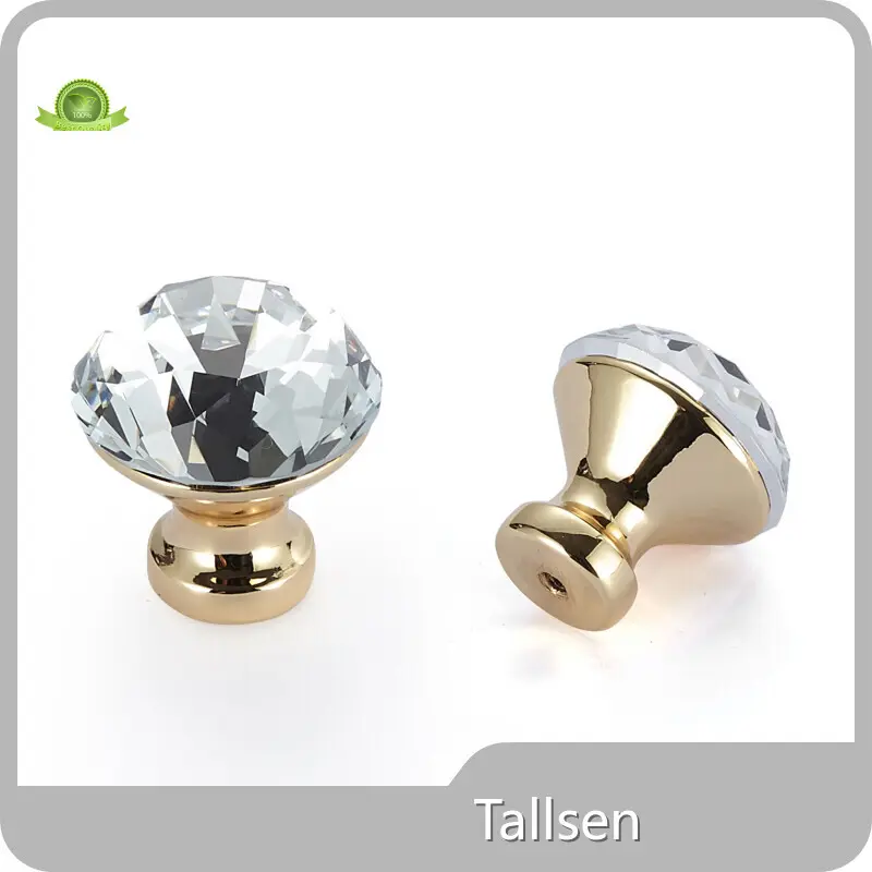 Láimhseálann Doras Closet Seirbhís Oiliúna In Aisce Tallsen 1