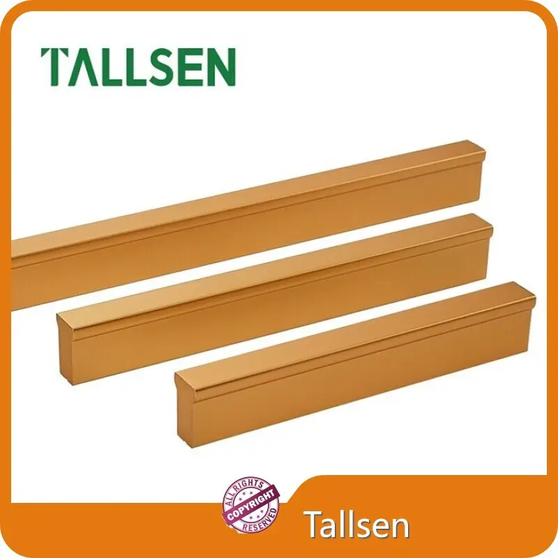 Types of Door Handles Tallsen 1