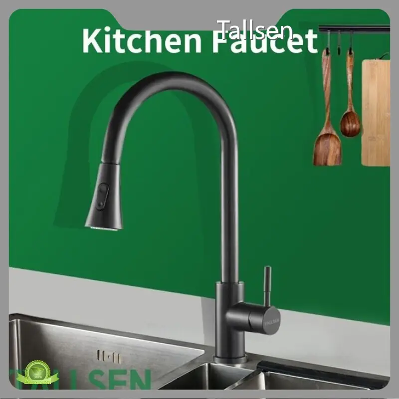 Types of Kitchen Sinks - - Tallsen-1 1