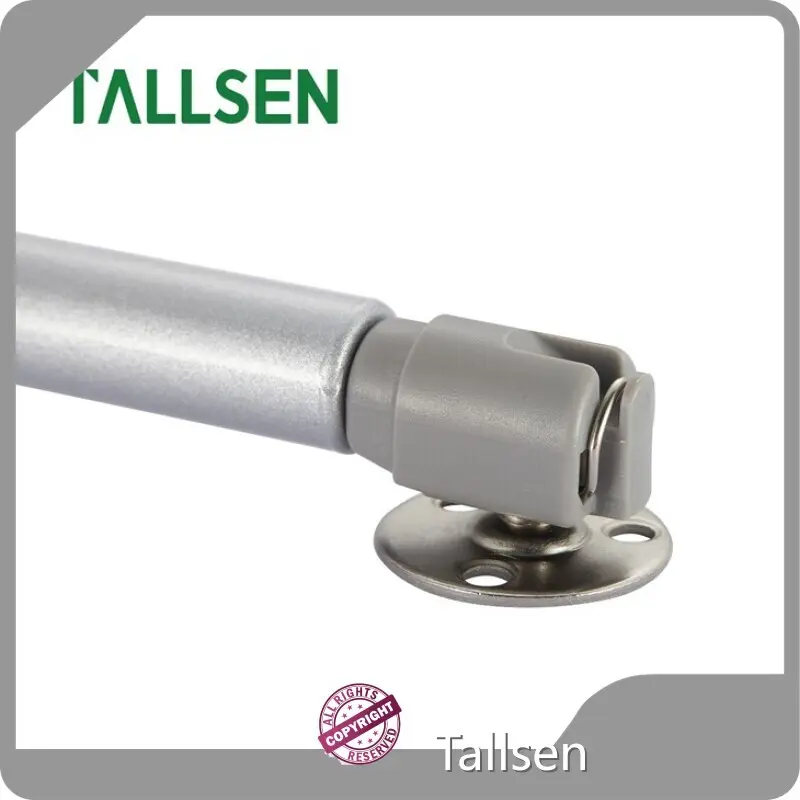 Topglass Door Hinges 1