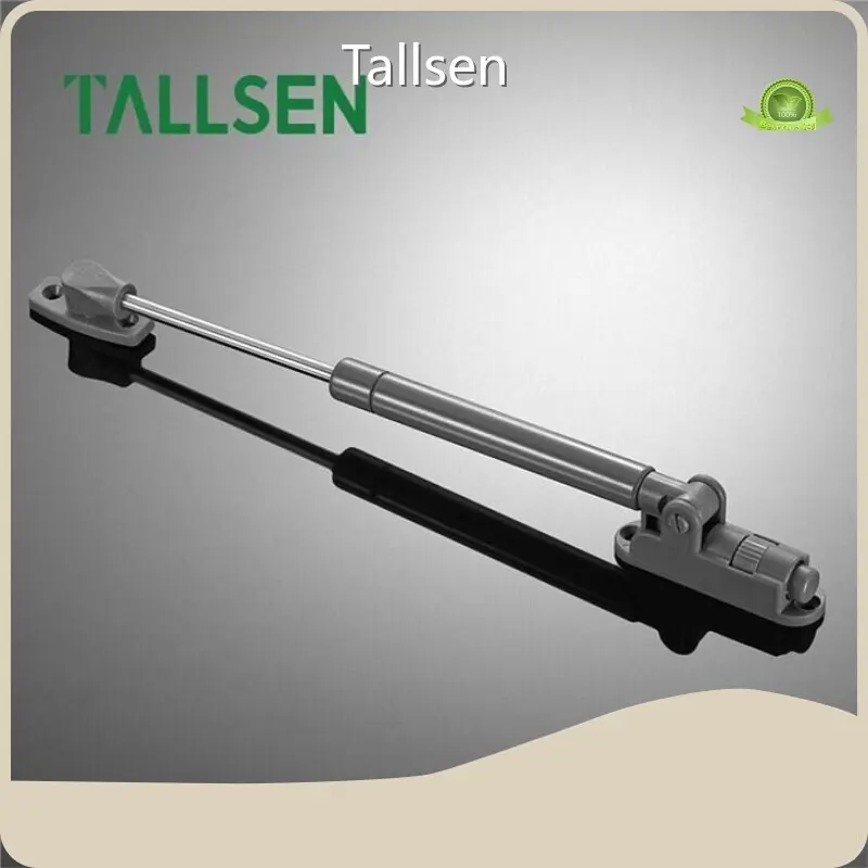 Gas Lift Hinges Manufacturer 1