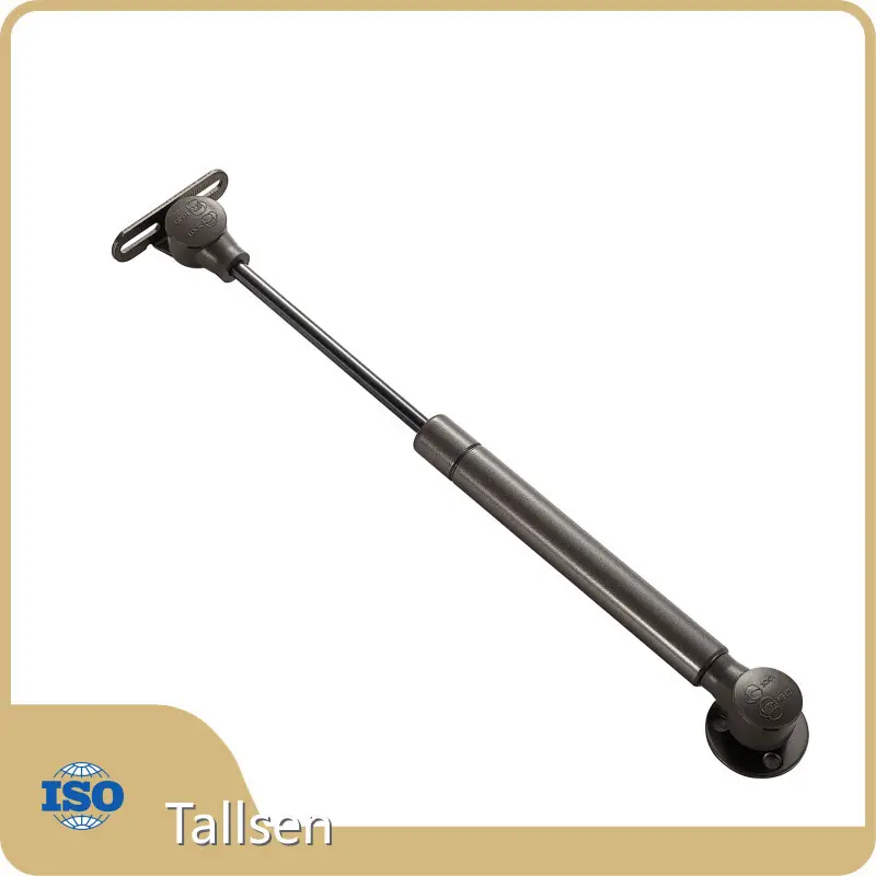 Customzied Gas Spring Lift Manufacturers 1