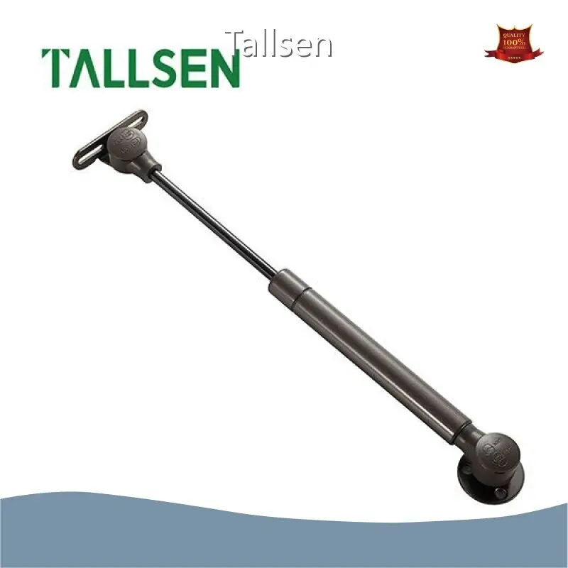 Top Stainless Steel Gas Struts Stainless Steel Gas Struts Company 1