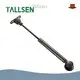 Top Stainless Steel Gas Struts Stainless Steel Gas Struts Company 1
