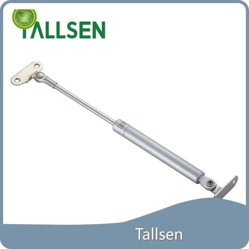 Customgas Lift Shocks Suppliers 1