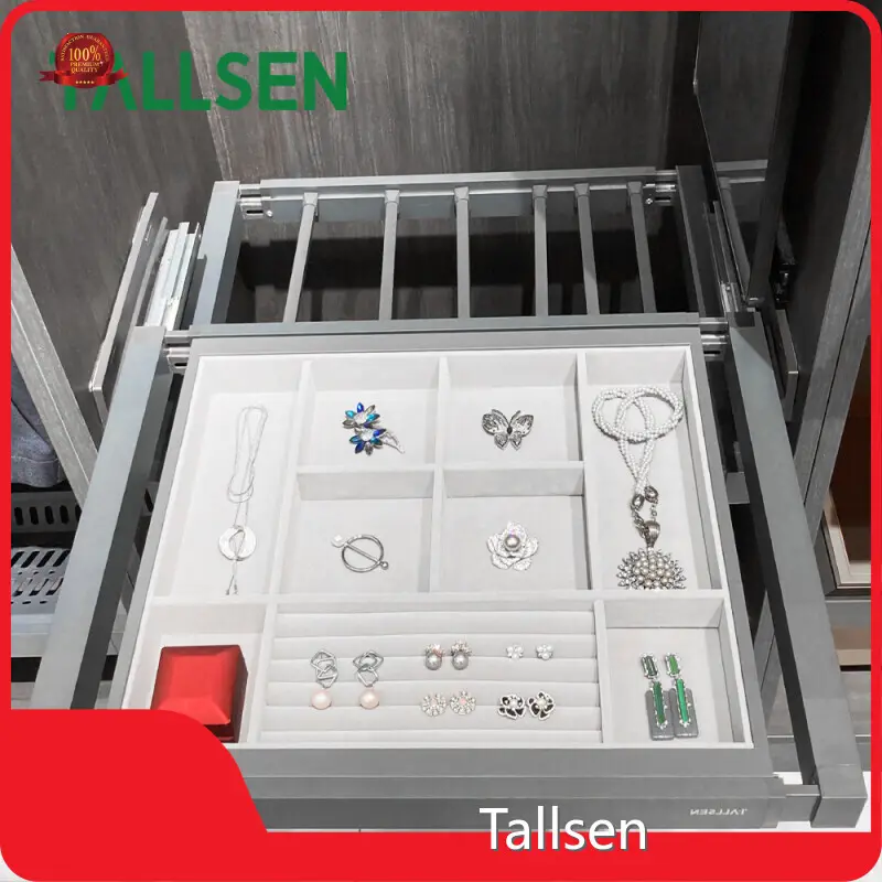Eagraí Wardrobe Seirbhís Oiliúna In Aisce - - Tallsen 1