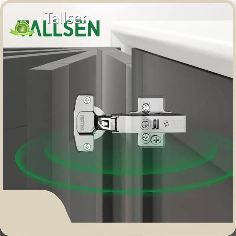 Commercial Door Hinges by Tallsen 1