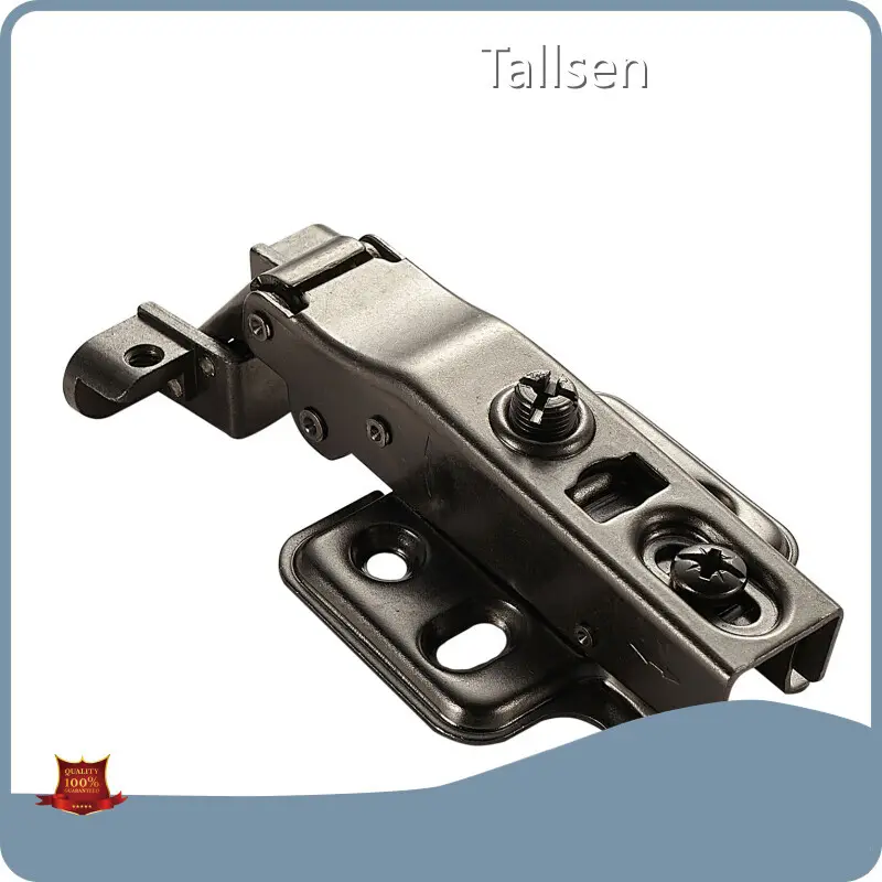 White Cabinet Hinges Free Training Service by Tallsen 1