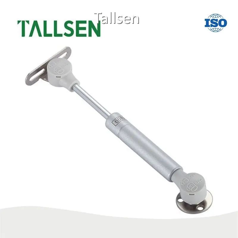 Adjustable Gas Spring Company 1