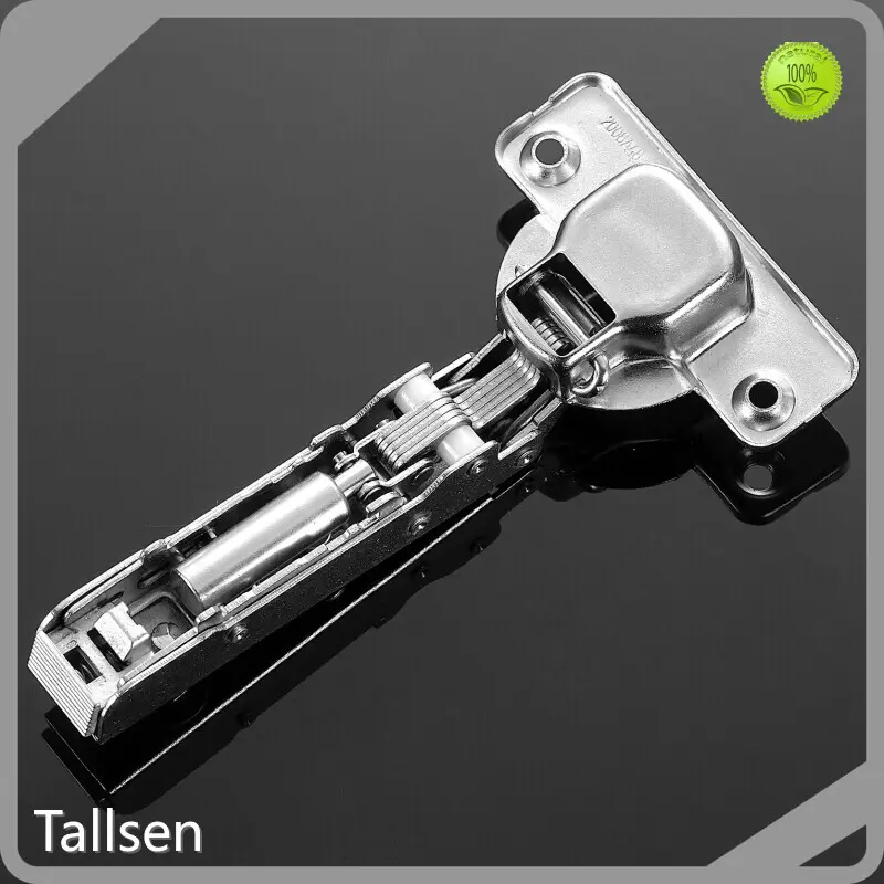 Concealed Cabinet Hinges TH3309 Wholesale - Tallsen 1
