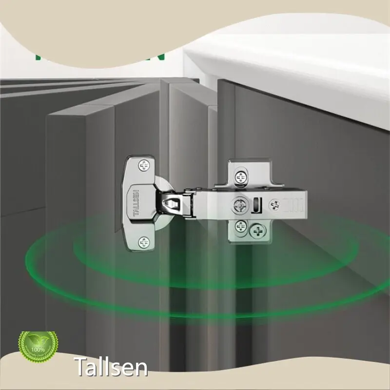 Frameless Cabinet Hinges Company 1