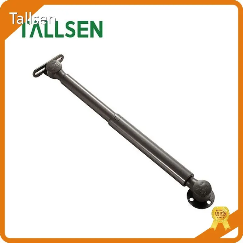 Top Gas Lift Struts Price List 1
