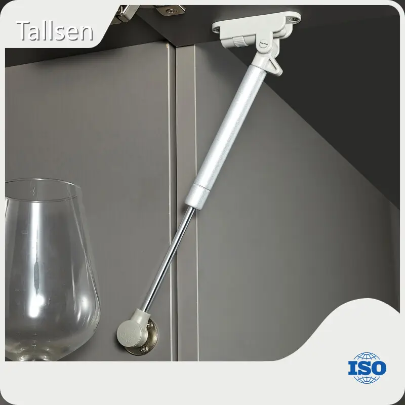 Products Adjustable Gas Spring GS3200 and the Rest Payment Before Shipment.) Supply 1