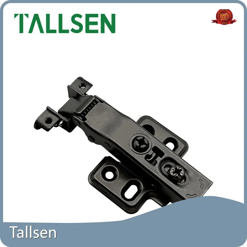 White Cabinet Hinges by Tallsen 1