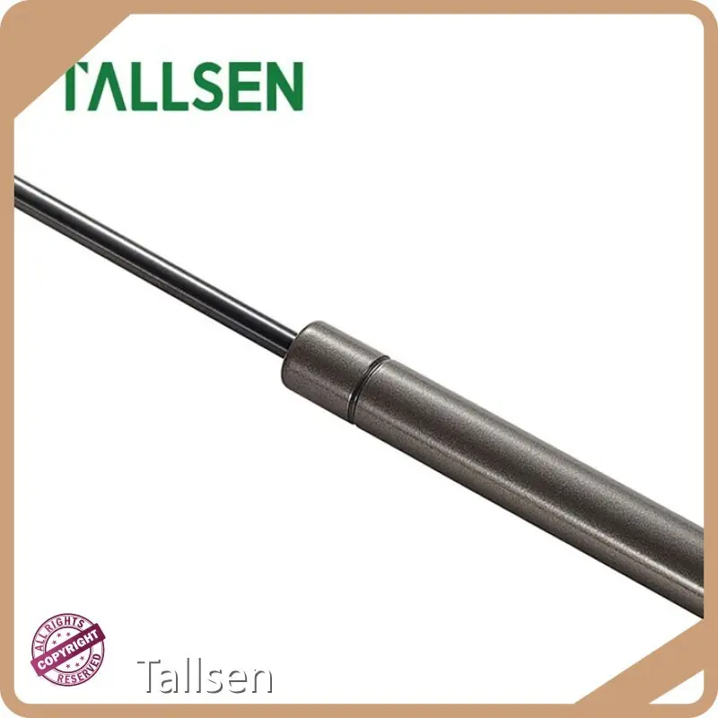 Highquality Gas Lift Struts Company 1