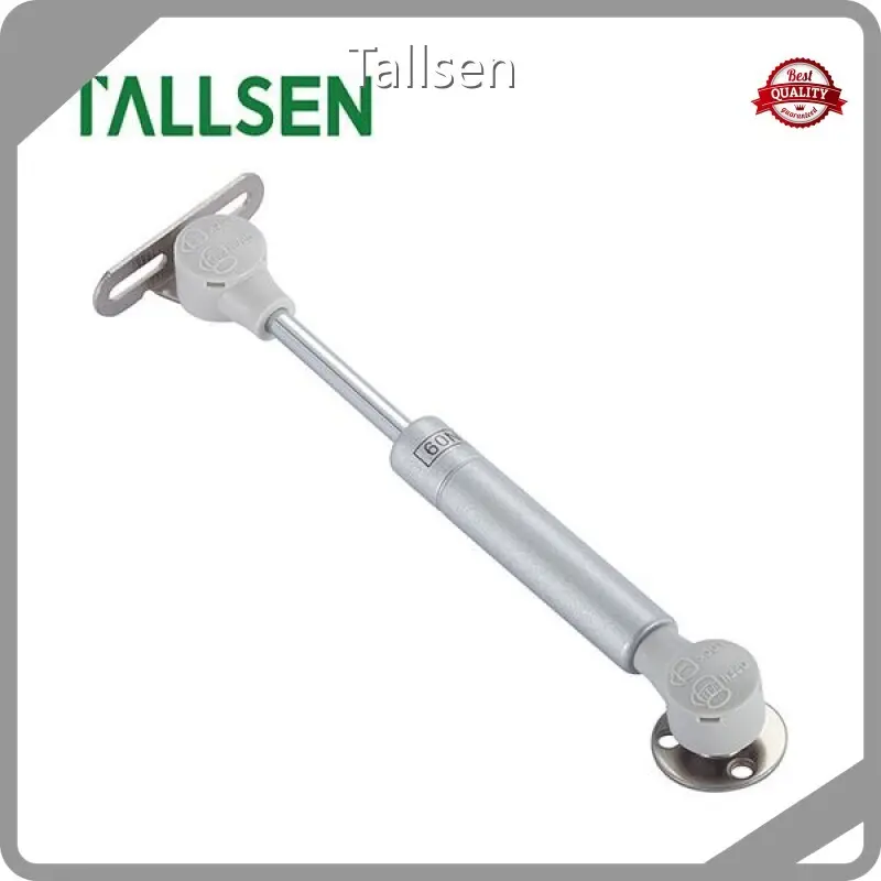 Cabinet Gas Spring by Tallsen 1