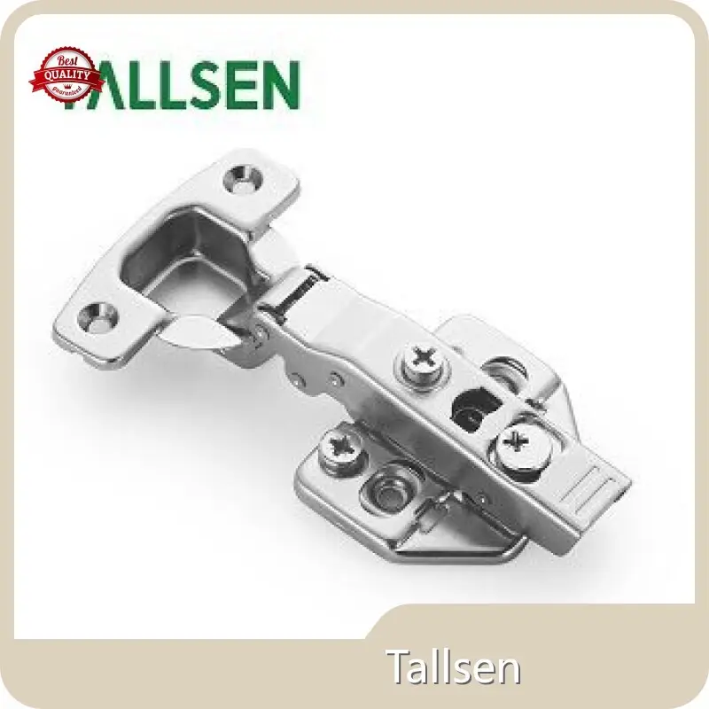 Stainless Steel Cabinet Hinges Products Wholesale - Tallsen 1