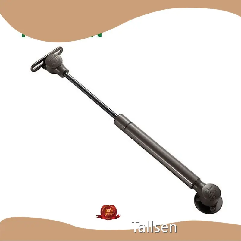 Top Gas Lift Struts Price List-1 1
