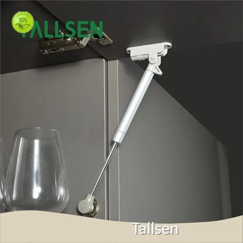 Best Quality Pneumatic Support Company 1