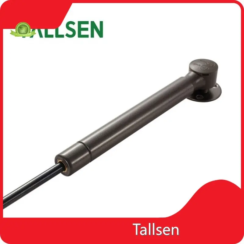 Soft Close Gas Strut by Tallsen-1 1