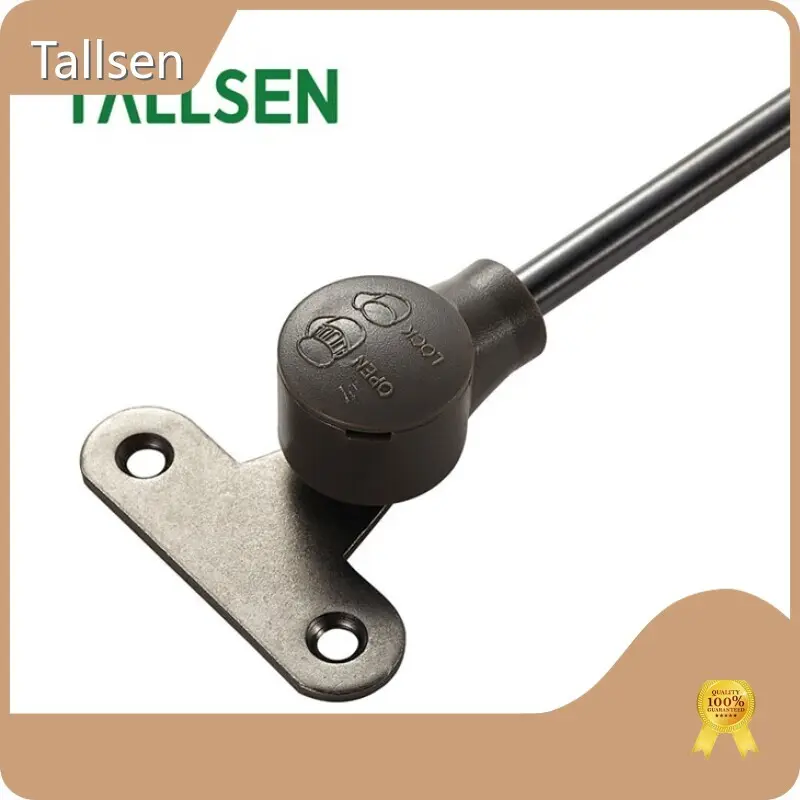 Tallsen Tatami Gas Spring Manufacter 1