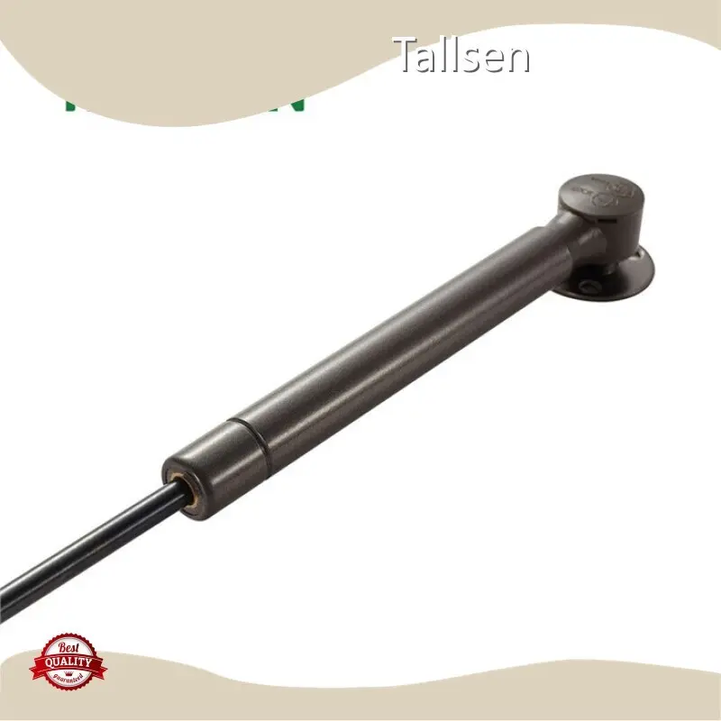 Soft Close Gas Strut Cabinet Door Support Wholesale - Tallsen 1