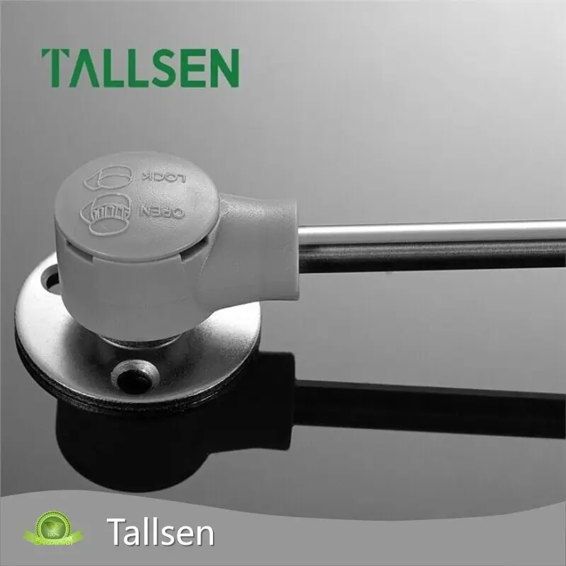 Tallsen Heavy Duty Gas Strut Heavy Duty Gas Strut Factory 1