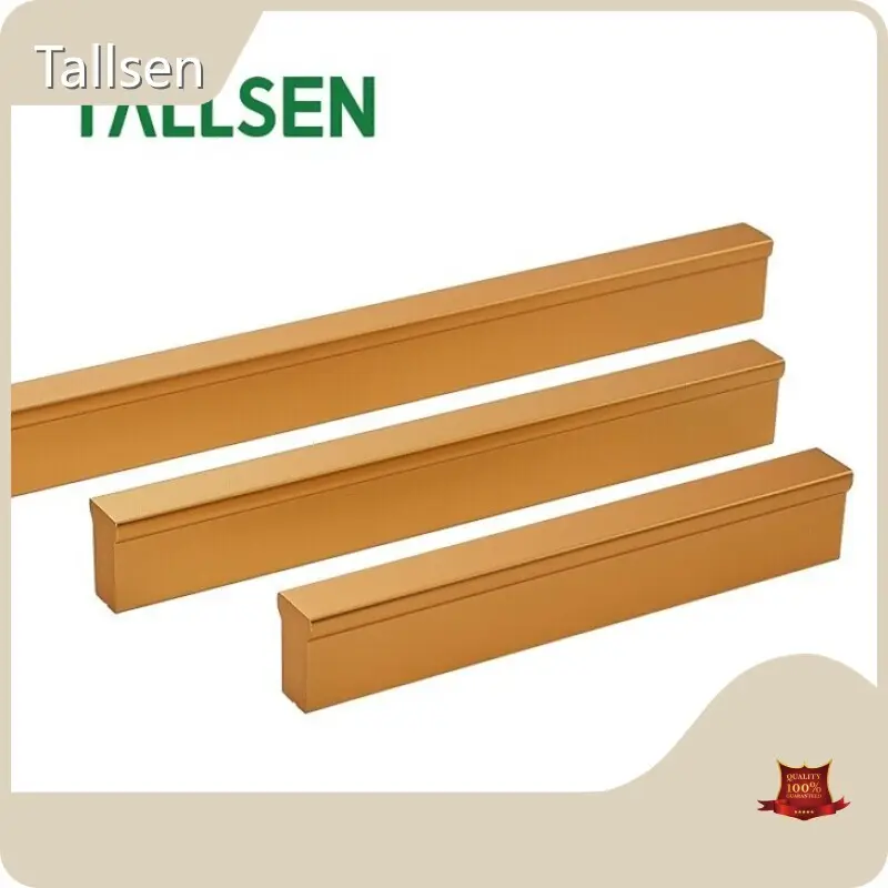 Sliding Door Hardware Manufacturers Other Products Wholesale - Tallsen 1