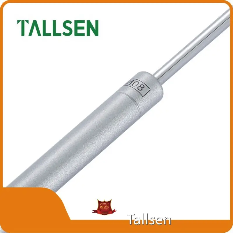 Other Products Soft Close Gas Strut Manufacter 1
