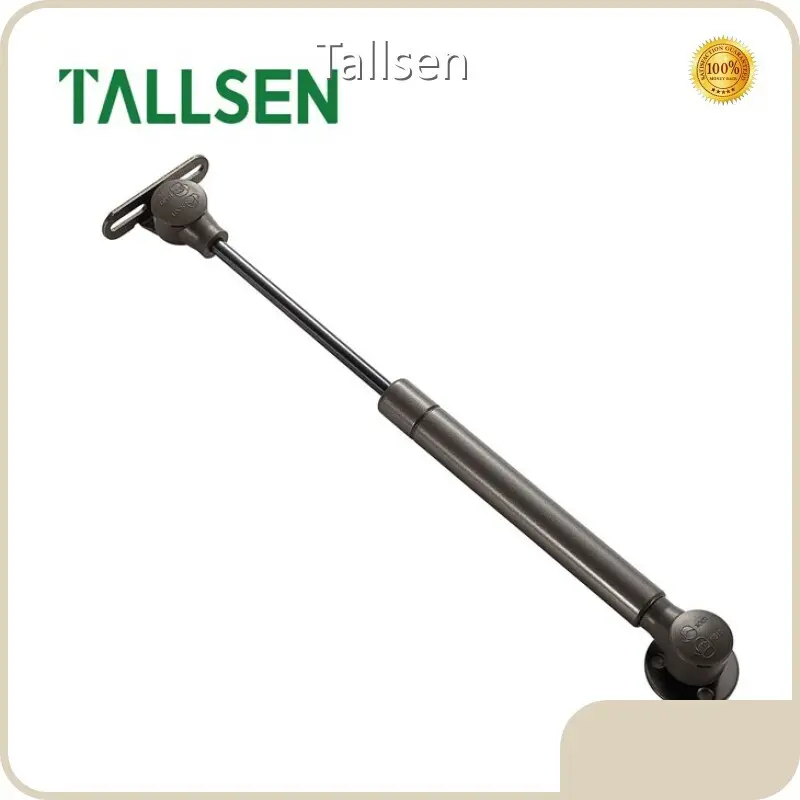 Cabinet Door Lift Support Gas Spring Wholesale - Tallsen 1